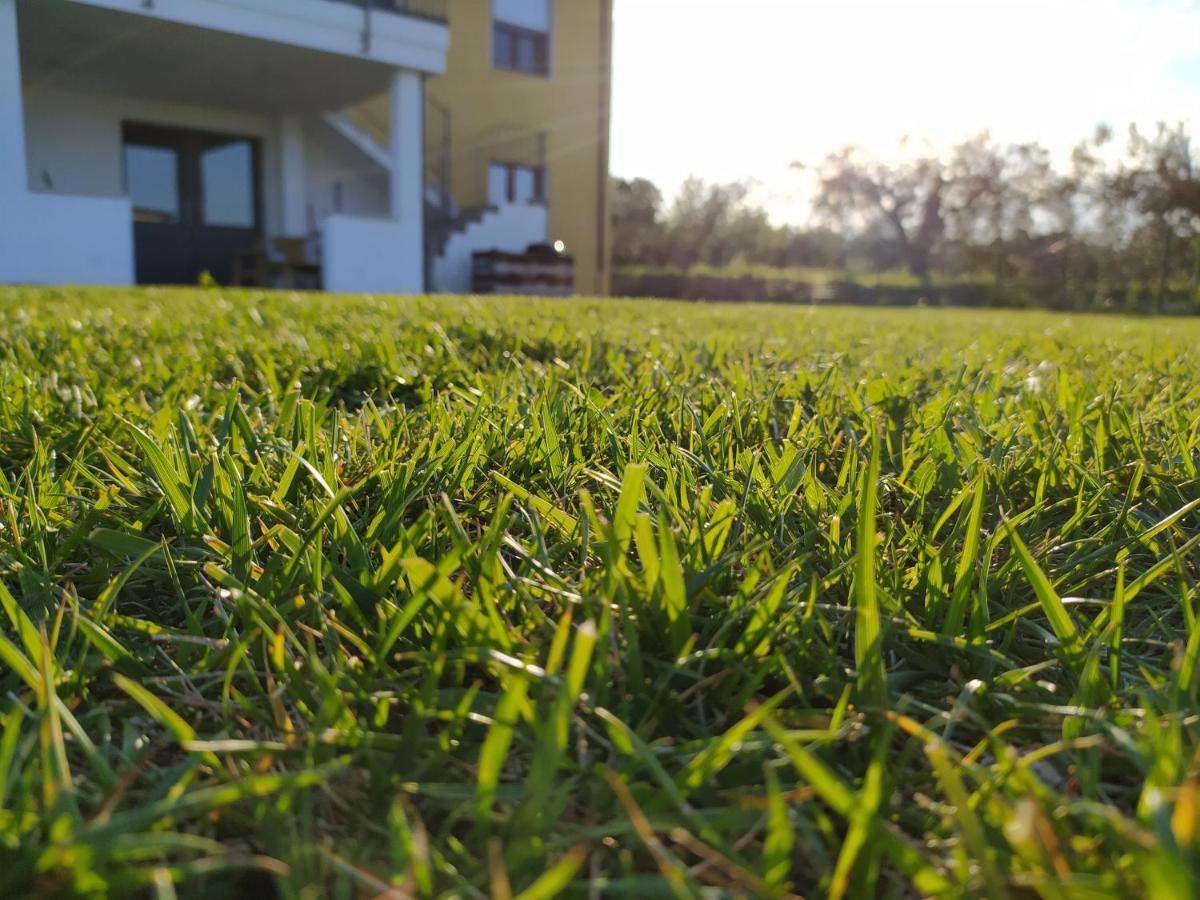 Natura E Mente Camere E Relax Vasto Exteriér fotografie